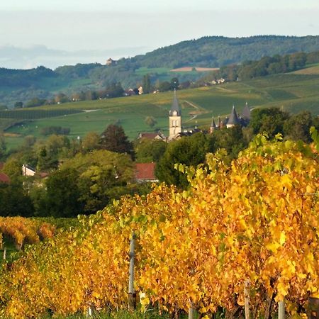 Gite Le Douglas, Vignoble Et Reculees Du Jura - Avec Sauna Lavigny Eksteriør billede