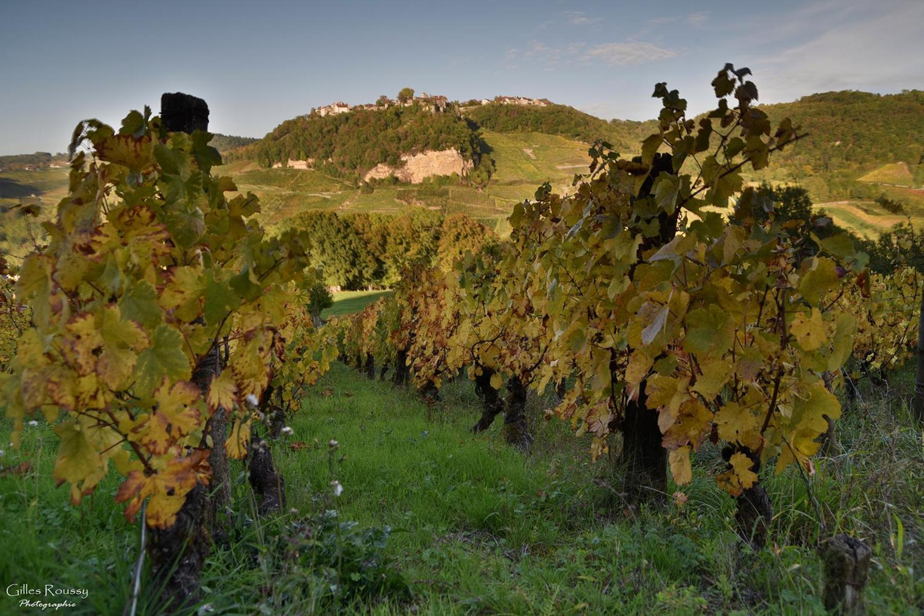 Gite Le Douglas, Vignoble Et Reculees Du Jura - Avec Sauna Lavigny Eksteriør billede