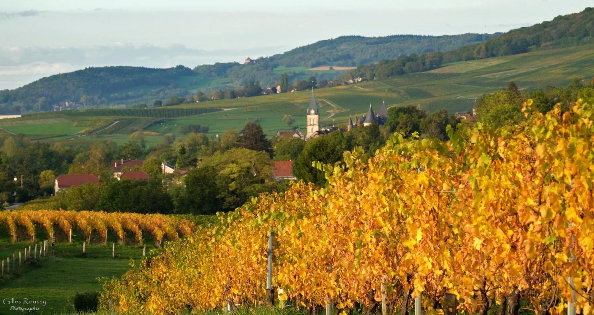 Gite Le Douglas, Vignoble Et Reculees Du Jura - Avec Sauna Lavigny Eksteriør billede
